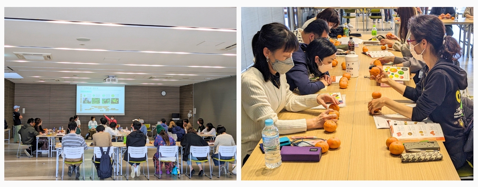 Mikan Society Seminar